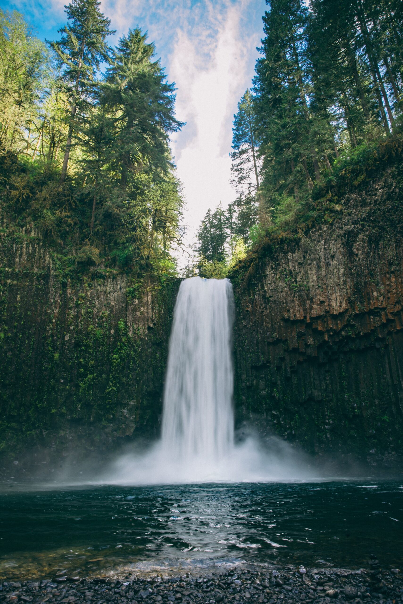 Abiqua Falls Portland, Oregon elopement