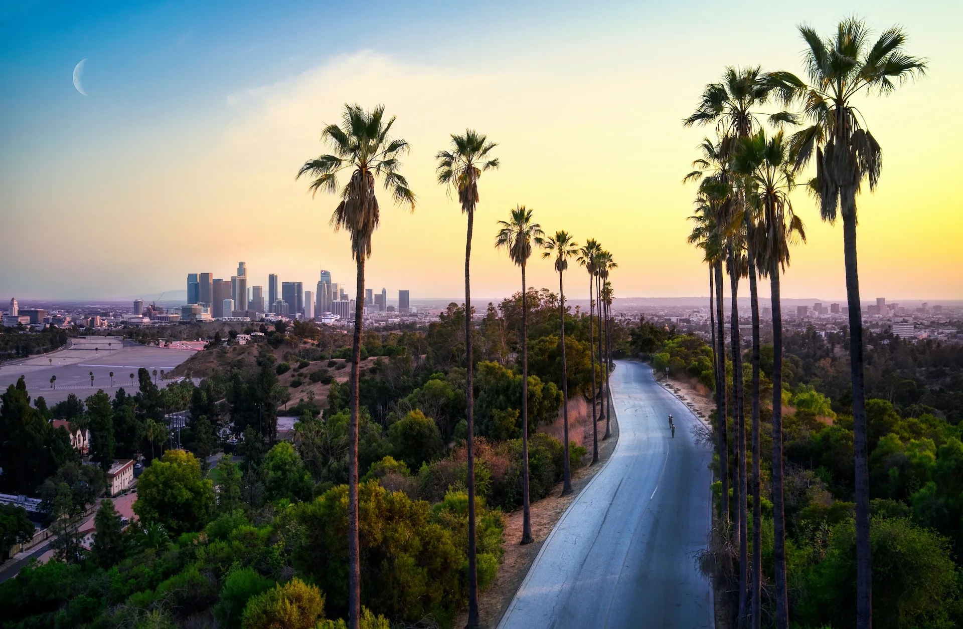 Skyline of Los Angeles with palm trees and sun setting